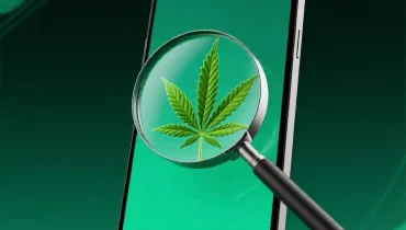 How to Order THCA Online the Easy Way – Your Ultimate Guide to THCAFinder.Online